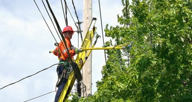 Travaux de végétation nécessaires à l’entretien des lignes électriques HTB