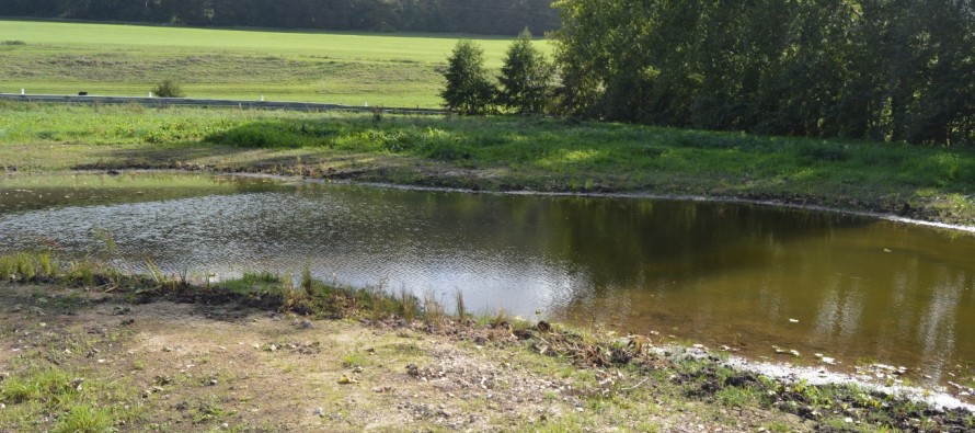 Suite chantier du jardin d’eau