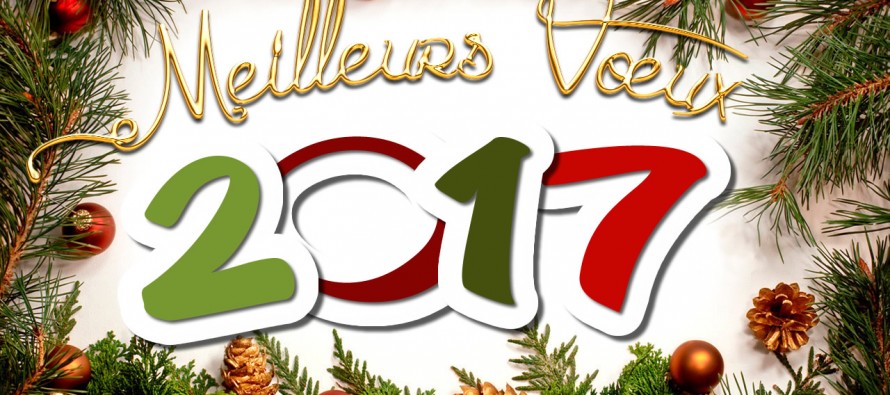 Meilleurs voeux 2017