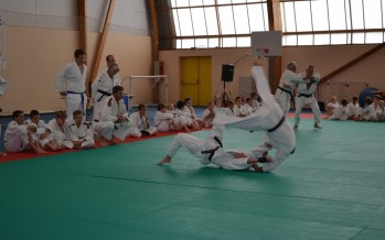 Inscription au club de judo