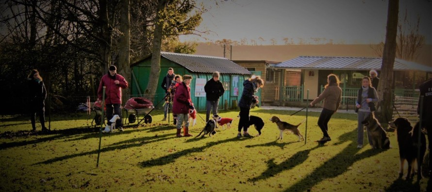 Concours de l’association Education et Sport Canin Dieppois