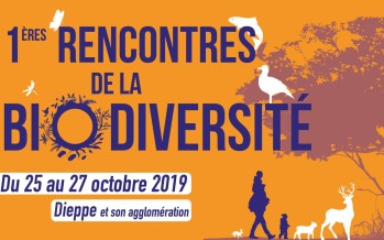 1ères Rencontres de la Biodiversité du 25 au 27 octobre 2019
