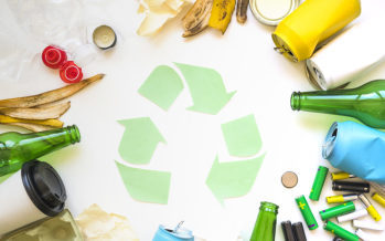 Déchets recyclables et déchets verts