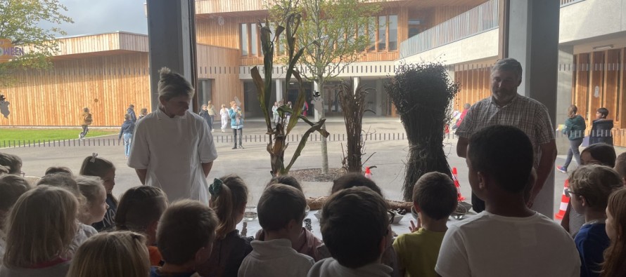 Cantine scolaire : « A la découverte des graines et des légumineuses ».