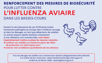Risque élevé de grippe aviaire