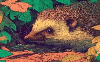 Vivez les 3ᵉ Rencontres de la Biodiversité avec l’agglo Dieppe-Maritime