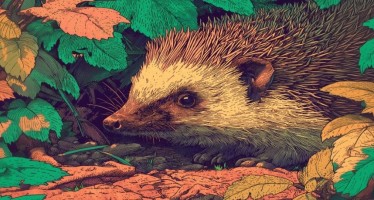 Vivez les 3ᵉ Rencontres de la Biodiversité avec l’agglo Dieppe-Maritime