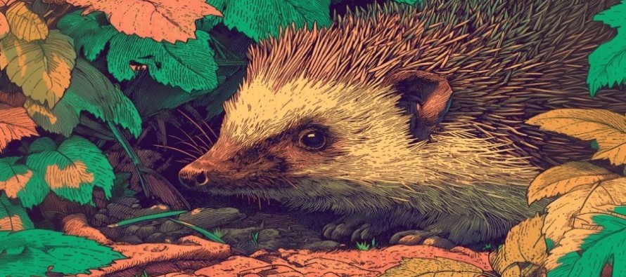 Vivez les 3ᵉ Rencontres de la Biodiversité avec l’agglo Dieppe-Maritime