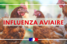 Influenza Aviaire Hautement Pathogène – Passage de risque modéré à élevé