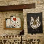 655601762_1263060722016576_374743002061834579_n