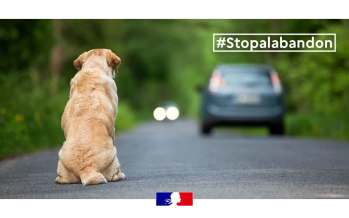 Il vous fait confiance. Ne l’abandonnez jamais.