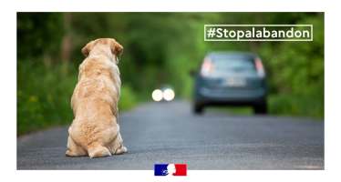 Il vous fait confiance. Ne l’abandonnez jamais.