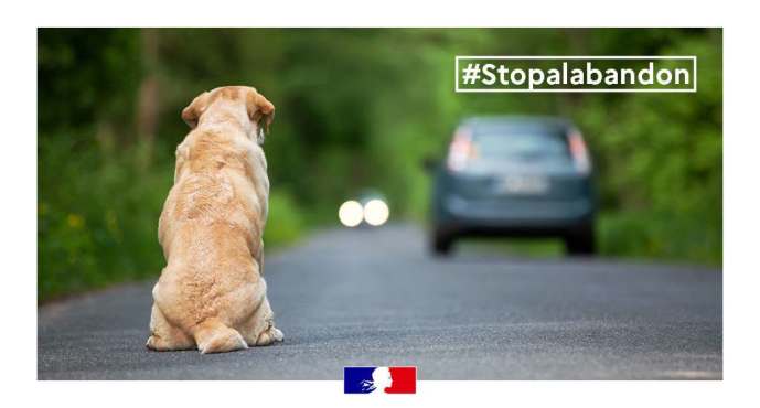 Il vous fait confiance. Ne l’abandonnez jamais.