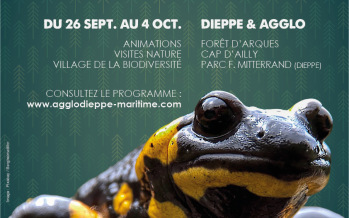 Rencontres de la Biodiversité 2026 / Programme et animations