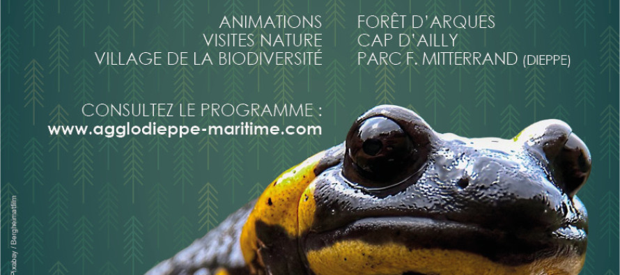 Rencontres de la Biodiversité 2026 / Programme et animations